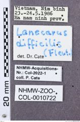 Etikette zu Lanecarus difficilis (NHMW-ZOO-COL-0010722)